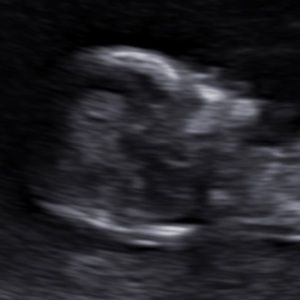 Meet your Posher, Gabrielle